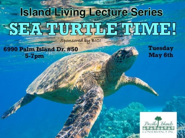 bici event turtle time