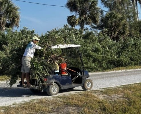 island-clean-up-15 island clean up 15