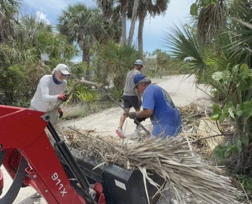 island-clean-up-16 island clean up 16