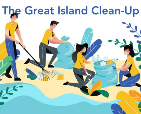 island cleanup