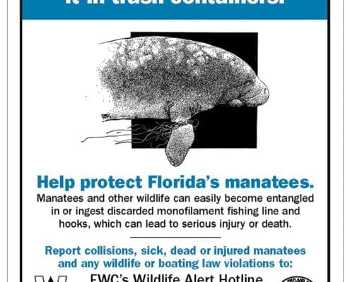 Recycling Fishing Line Protects the Manatees