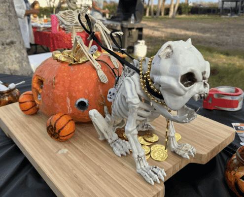 Pumkin Carving Contest