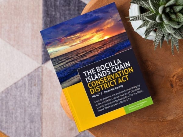 bocilla district act