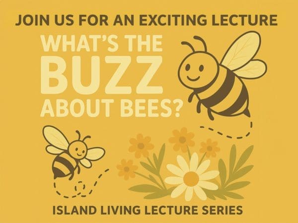 buzz about bees